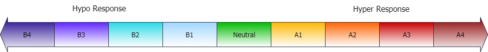 Bodymap arrow