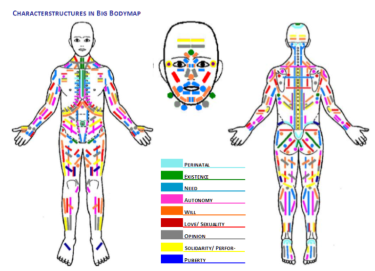 Karakterstrukturer i Bodymap 2